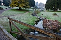 Nebbia 14_01_2011 - Parco del Valentino_17